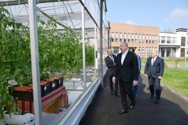 Prezident Lənkəran Dövlət Peşə Təhsil Mərkəzinin açılışında iştirak edib