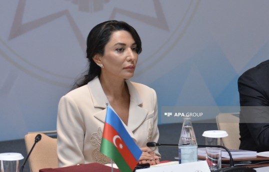 Səbinə Əliyeva, ombudsman
