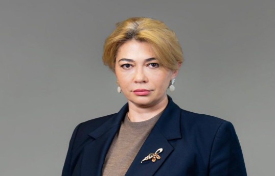 AMB-nin departament rəhbəri: Bank sektorunda dayanıqlılığın artırılması prioritetdir - MÜSAHİBƏ 