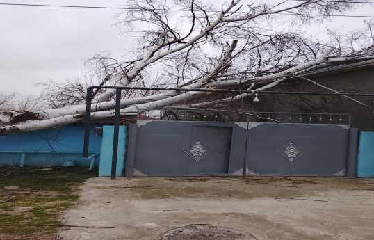 Biləsuvar və Cəlilabadda güclü külək fəsadlar törədib