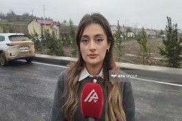 Fidan Məmmədli