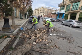 Gəncədə güclü külək fəsadlar törədib - FOTO 