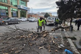 Gəncədə güclü külək fəsadlar törədib - FOTO 