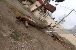Gəncədə güclü külək fəsadlar törədib - FOTO 