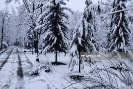 Şimal-qərb bölgəsinə qar yağıb, bəzi ərazilərdə qalınlıq 15 sm-ə çatıb - FOTO 