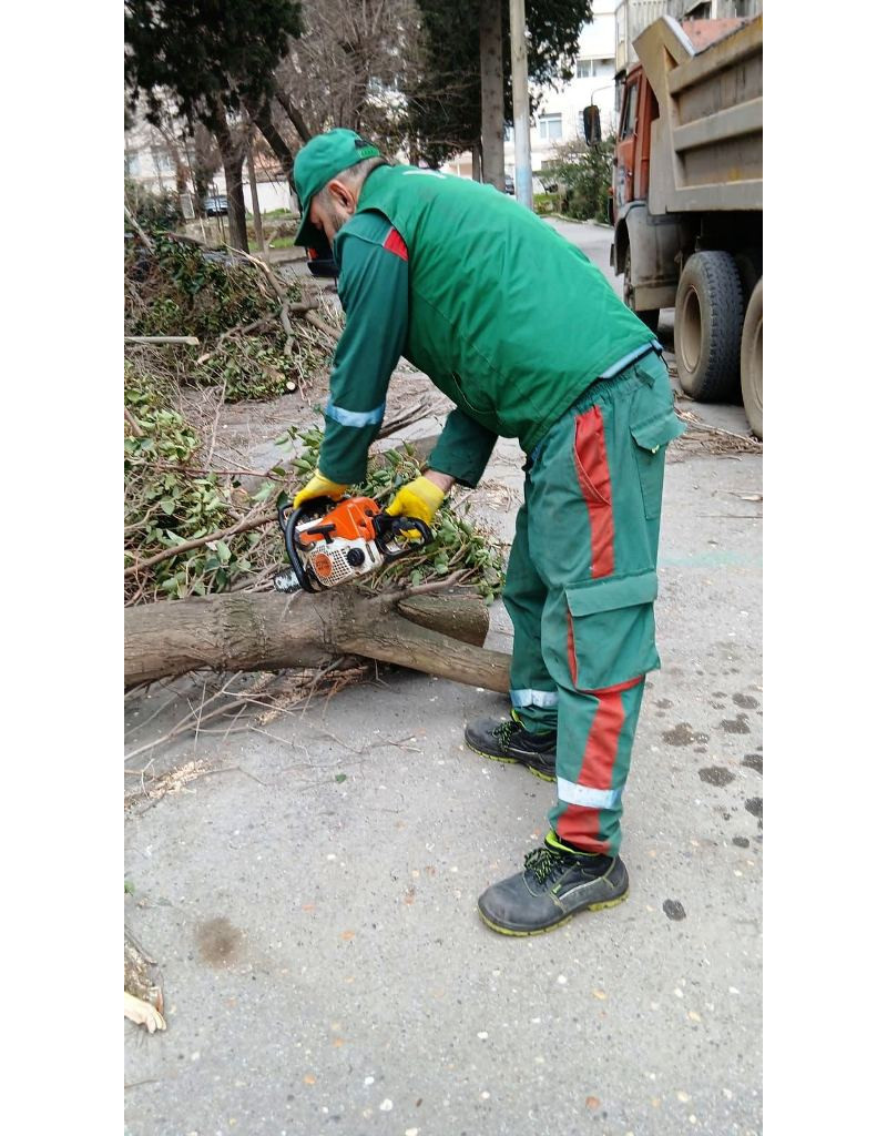 Bakıda güclü külək nəticəsində 9 ağac sınıb