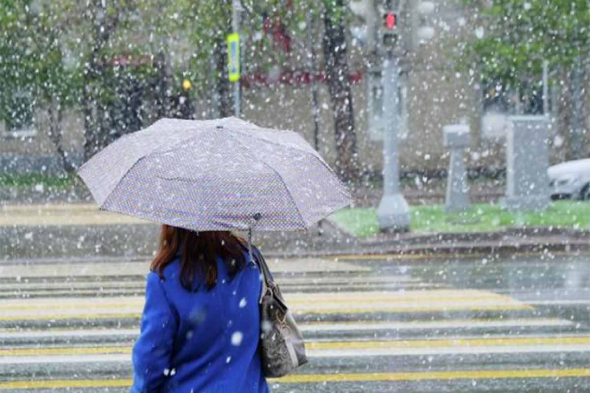 Bakıya sulu qar yağacaq, temperatur 10 dərəcə enəcək - XƏBƏRDARLIQ 