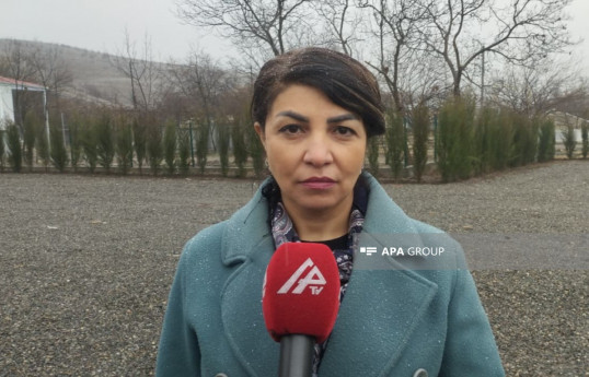 Afət Telmanqızı