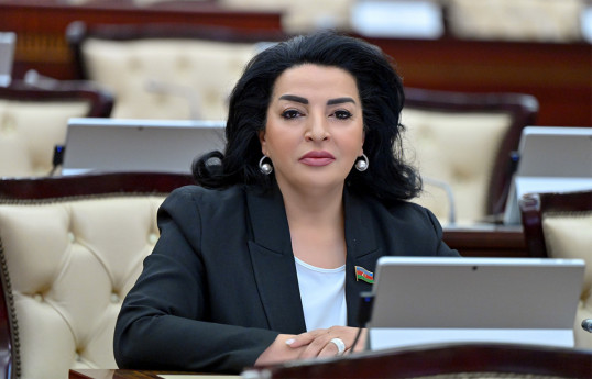 Fatma Yıldırım, Milli Məclisin Təbii ehtiyatlar, energetika və ekologiya komitəsinin sədr müavini