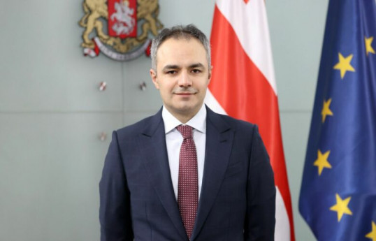 Gürcüstanın sabiq təhsil, elm və gənclər naziri Aleksandre Tsuladze