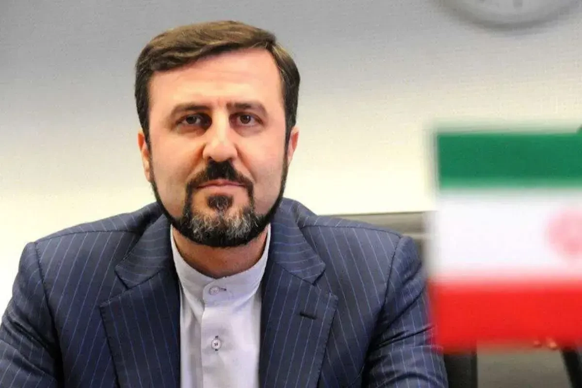 İran xarici işlər nazirinin hüquqi və beynəlxalq məsələlər üzrə müavini, İranın ekspert heyətinin rəhbəri Kazım Qəribabadi