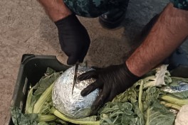 Ötən ay sərhəddə 4,8 mln. manatlıq qaçaqmal aşkar olunub - FOTO 