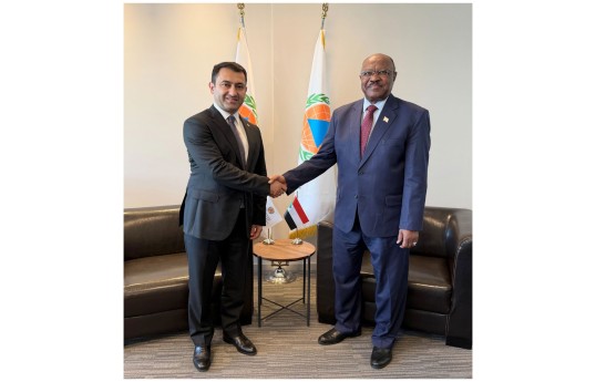 BMMT-nin Baş katibi Sudan XİN rəhbəri ilə əməkdaşlıq imkanlarını müzakirə edib