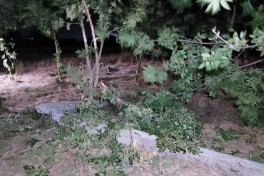 Masallıda baş verən qəzada 2 nəfər ölüb, 2 nəfər xəsarət alıb