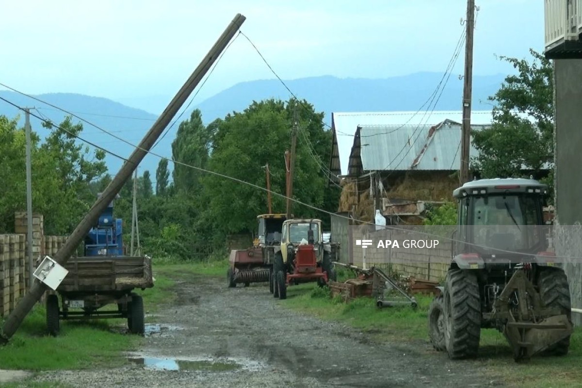 Əlverişsiz hava Qax və Zaqatalada elektrik, internet və qaz təchizatında fasilələrə səbəb olub - FOTO 