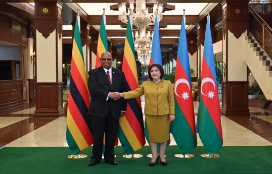 Milli Məclis və Zimbabve Milli Assambleyasının sədrlərinin görşü olub