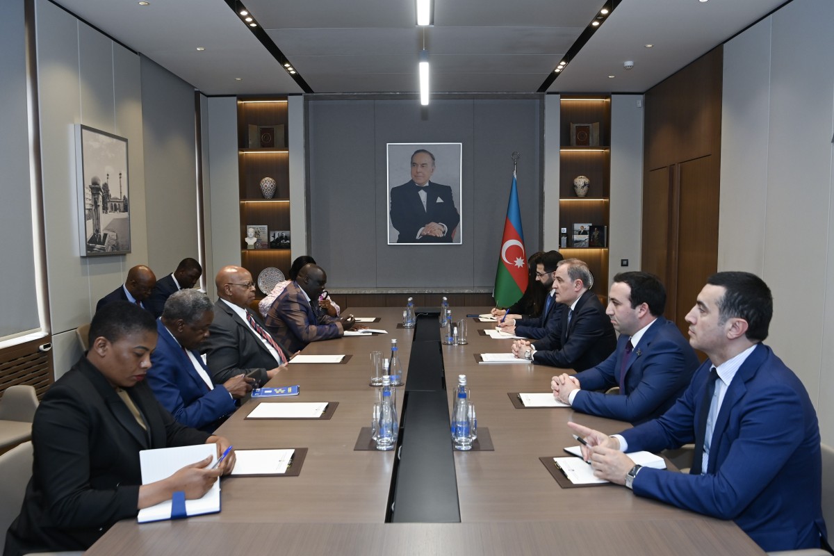 Azərbaycan XİN rəhbəri Zimbabve Milli Assambleyasının sədri ilə görüşüb