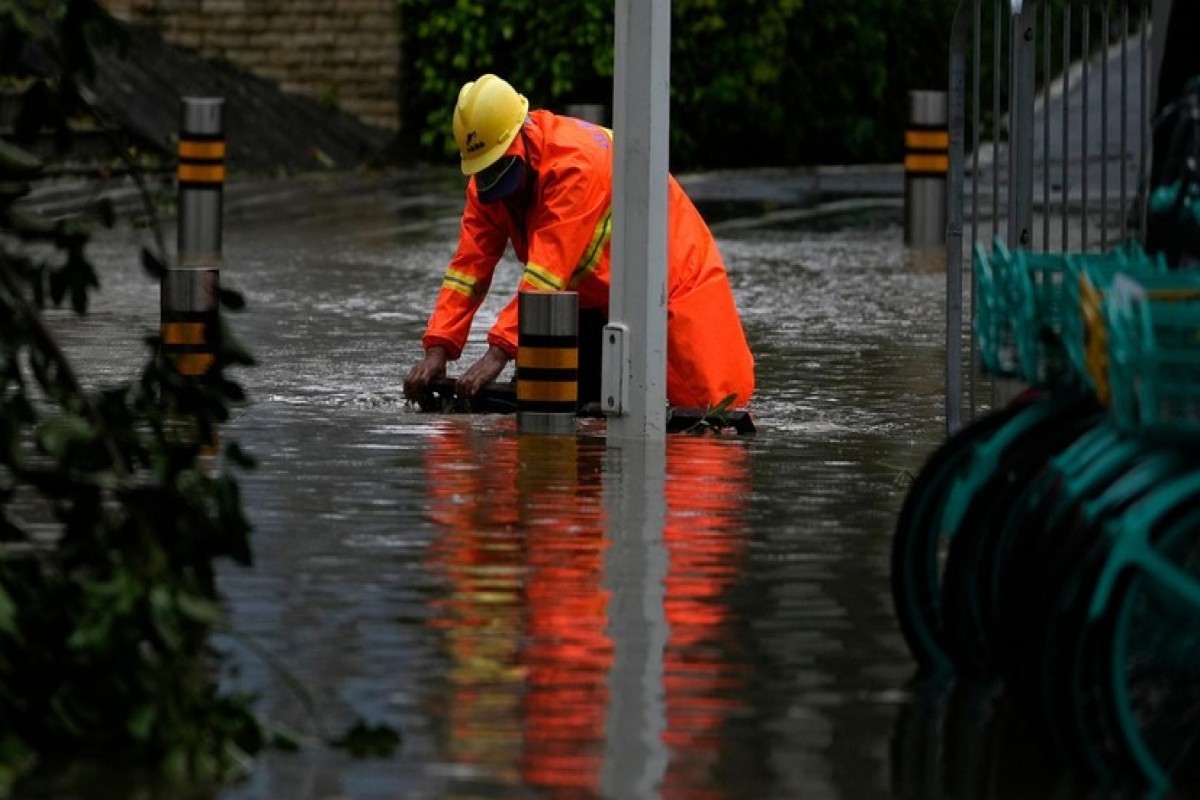 Flood sweeps away over 100 animals from zoo in southern China