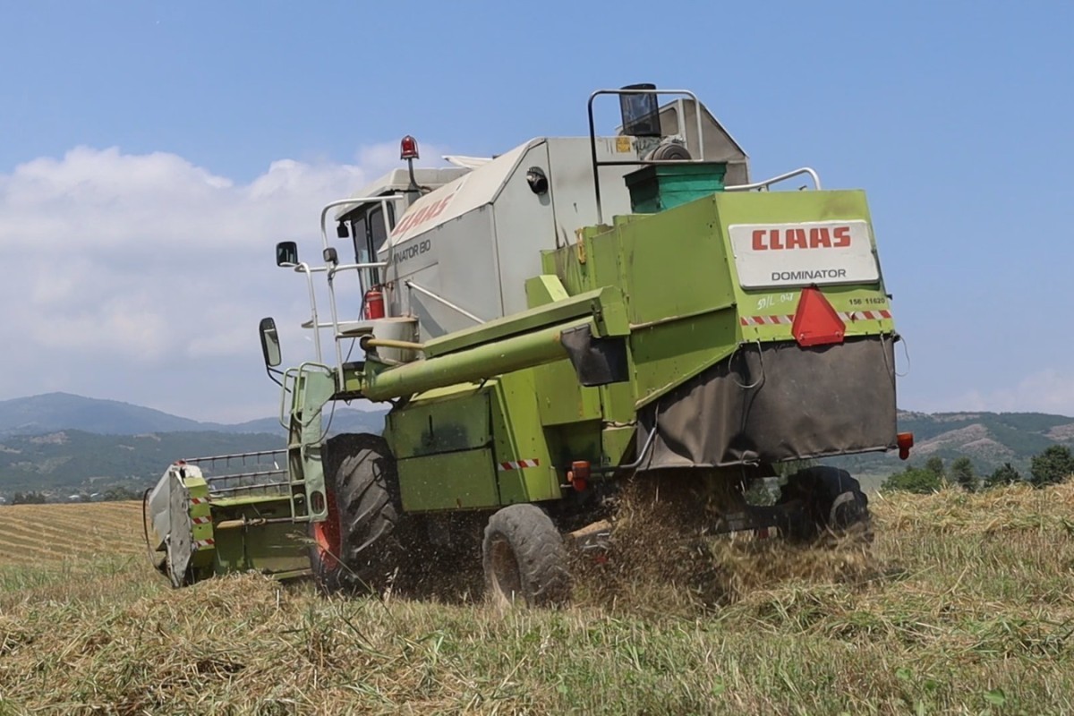 Grain harvesting begins in Khojaly and Aghdara after 34 years - <span class="red_color">PHOTO