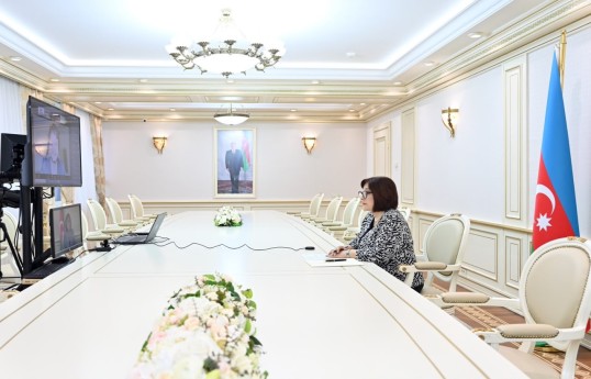 Sahibə Qafarova, Milli Məclisin sədri