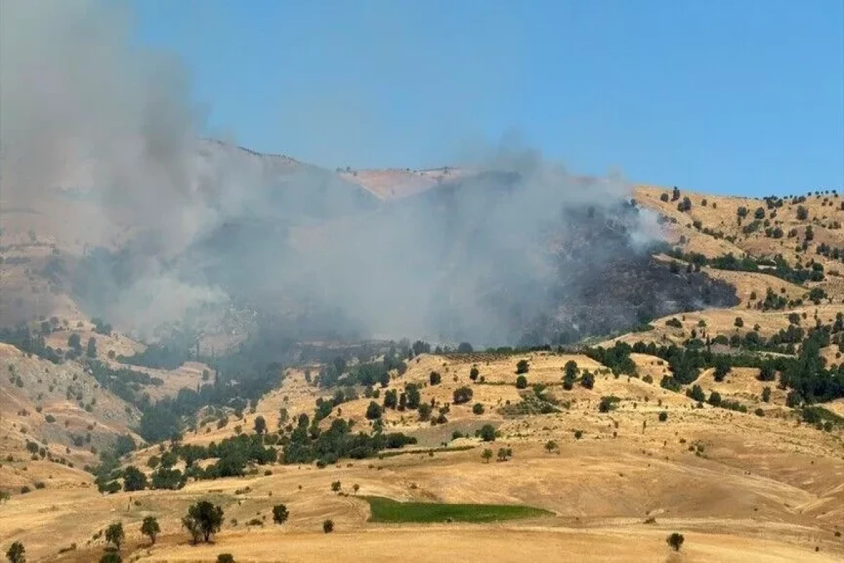 Türkiyənin Muğla və Diyarbəkir bölgələrində meşə yanğınları başlayıb