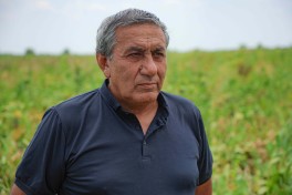 “Azərsun Holdinq” şəkər çuğunduru emalı həcmini 800 min tona qaldıracaq