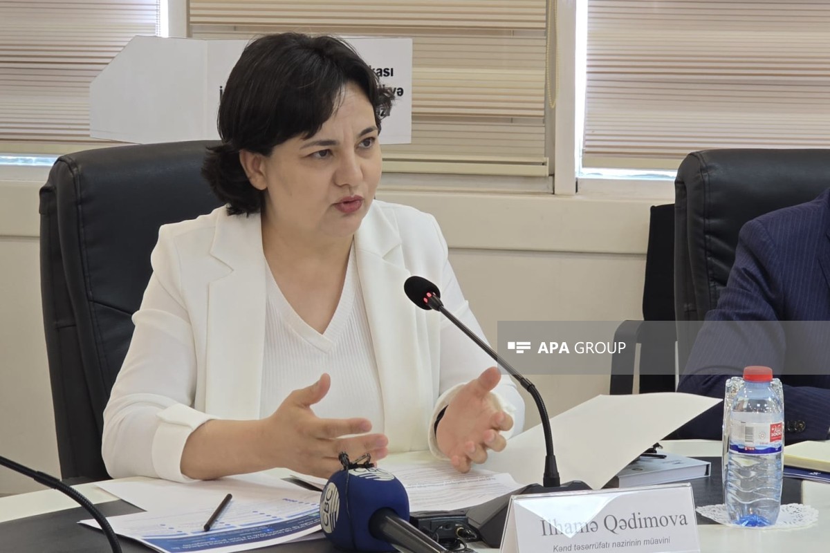 Kənd təsərrüfatı nazirinin müavini İlhamə Qədimova