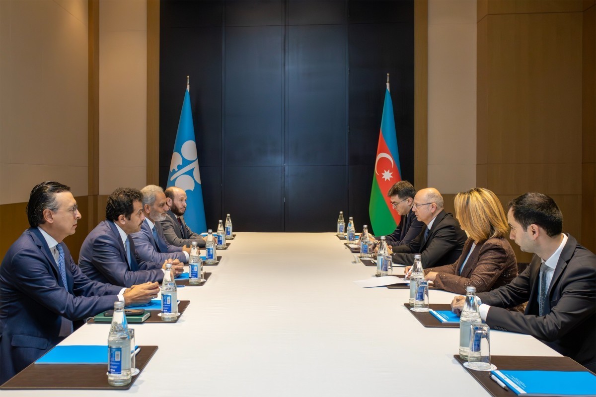 Future prospects of OPEC+ cooperation discussed in Baku