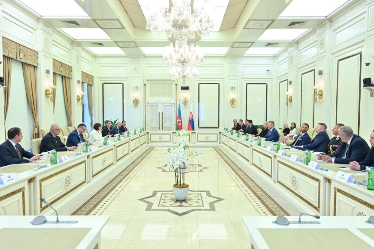 Milli Məclisin sədri Slovakiya Prezidenti ilə görüşüb