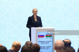 Baş nazirin müavini: Slovakiya Qarabağın bərpasında əməkdaşlığı genişləndirmək niyyətindədir