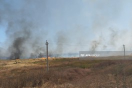 Ağdamın Kəngərli kəndində açıq ərazidə yanğın baş verib - FOTO 