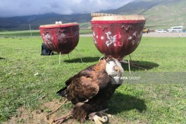 Azərbaycanlı jurnalistlər Qırğızıstanda köçəri mədəniyyəti və Dünya Köçəri Oyunlarına hazırlıqla tanış olublar - FOTO 