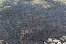 Oğuzda yanğın törədən şəxs məsuliyyətə cəlb olunub - FOTO 