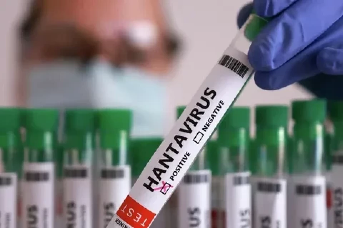 Çilidə hantavirus səbəbindən sanitar həyəcan rejimi elan edilib