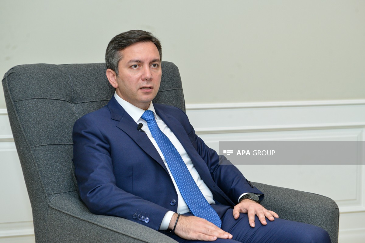 Xarici işlər nazirinin müavini Yalçın Rəfiyev