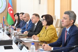 Sahibə Qafarova Efiopiya Palatasının sədri ilə görüşüb