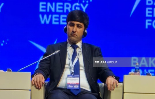 Tacikistanın Energetika və Su Ehtiyatları nazirinin müavini Şərif Səfərəli