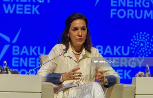 Avropa Komissiyasının Enerji Təhlükəsizliyi və Beynəlxalq Əlaqələr üzrə direktoru Kristina Lobillo Borrero