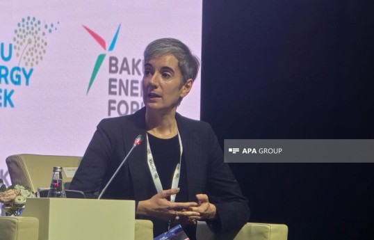 Dünya Bankının Avropa və Mərkəzi Asiya regionu üzrə enerji təcrübəsi meneceri Stephanie Gil