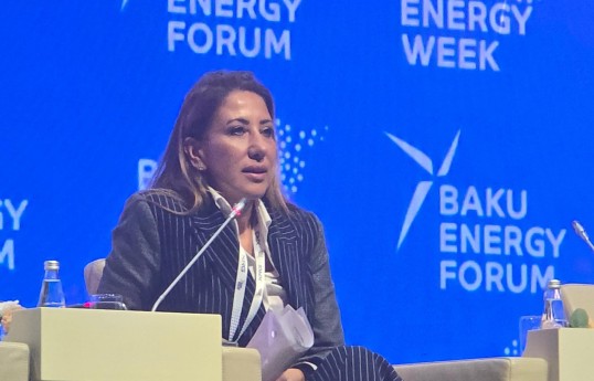 EBRD-nin Avrasiya üzrə enerji rəhbəri Sule Kılıç