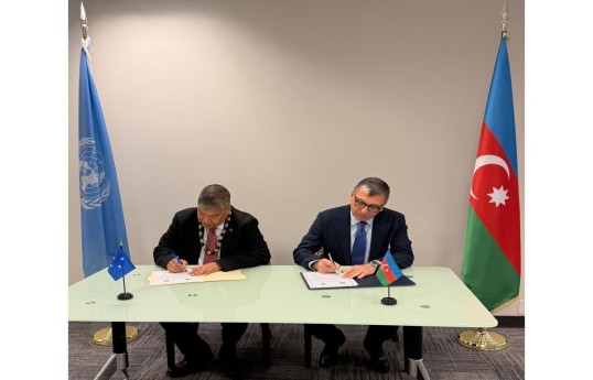 Cim Lipve, Tofiq Musayev