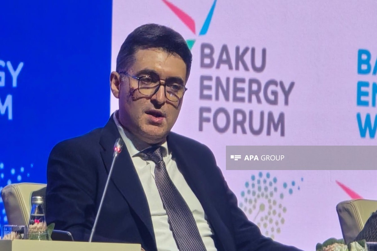 Azərbaycan Respublikası energetika nazirinin müavini Orxan Zeynalov