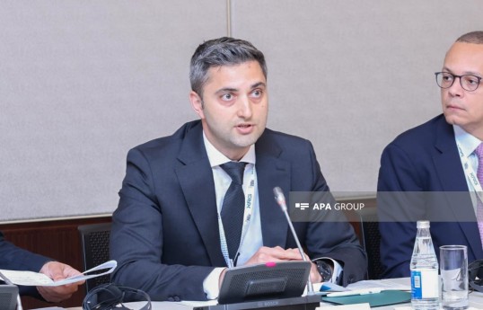 "SOCAR Green" şirkətinin baş direktoru Elmir Musayev