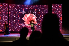 Akademik Musiqili Teatrda “Balaca şahzadə” əsəri əsasında hazırlanmış eyniadlı tamaşa nümayiş olunub