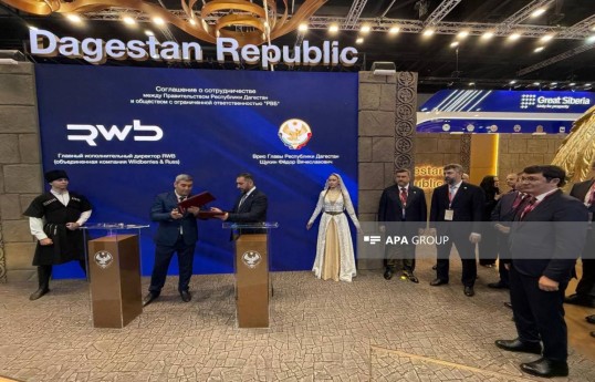 Azərbaycan nümayəndə heyəti Sankt-Peterburqda Beynəlxalq İqtisadi Forumda iştirak edir