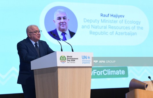 Ekologiya və təbii sərvətlər nazirinin müavini Rauf Hacıyev