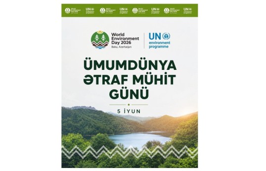 Azərsun Holdinq beynəlxalq ətraf mühit tədbirini dəstəkləyib