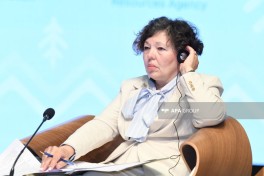Ümumdünya Ətraf Mühit Gününə həsr olunmuş tədbirdə növbəti panel keçirilib - FOTO 