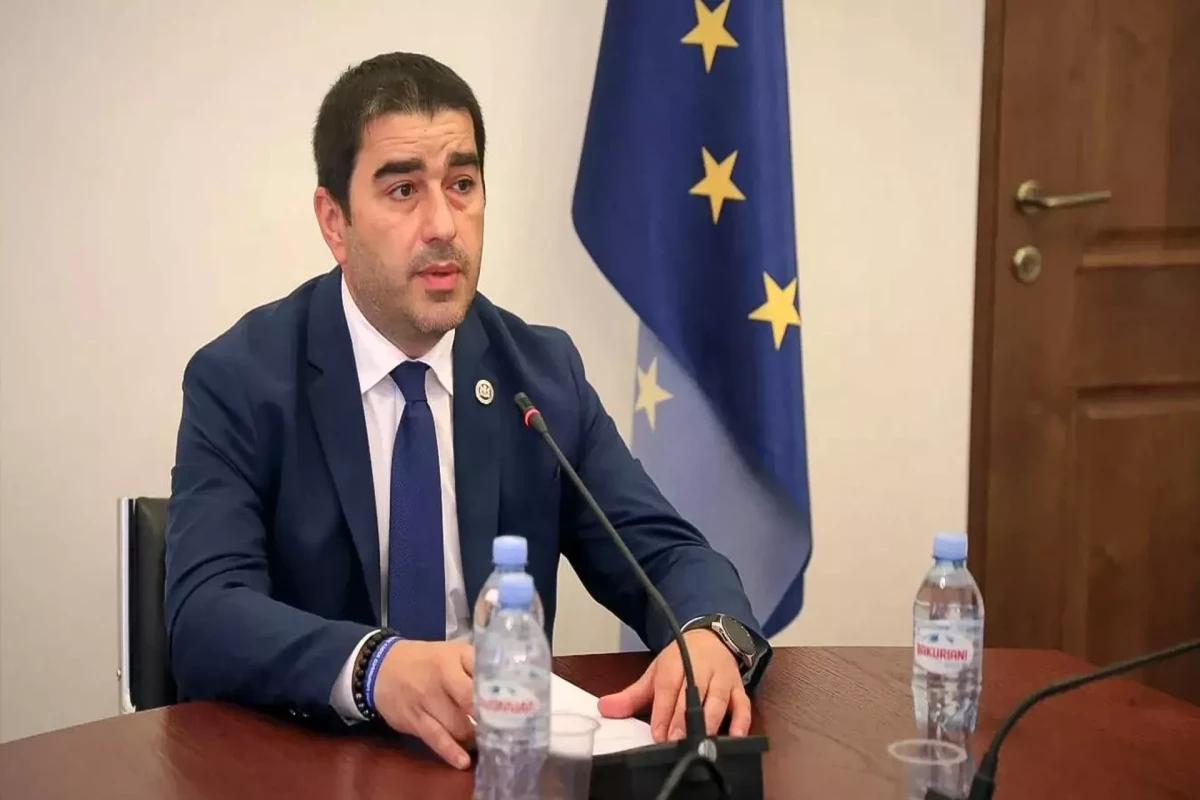 Gürcüstan parlamentinin sədri Şalva Papuaşvili