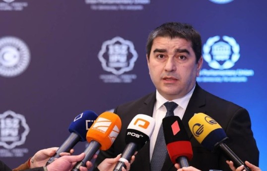 Gürcüstan parlamentinin sədri Şalva Papuaşvili